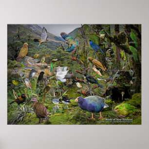 poster de arte de Nueva Zelanda