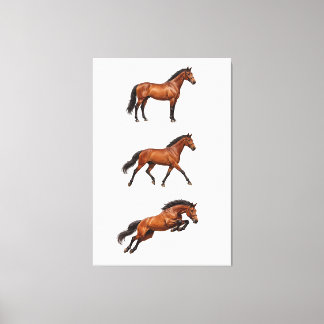 Póster de Arte de Pared de Caballo Marrón Elegante