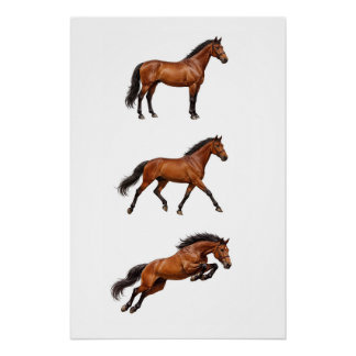 Póster de Arte de Pared de Caballo Marrón Elegante