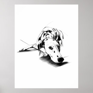 Póster de Arte de Pared de Dálmata – Dibujado a Ma