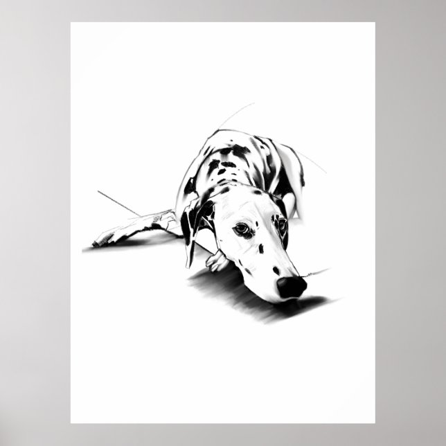 Póster de Arte de Pared de Dálmata – Dibujado a Ma (Frente)