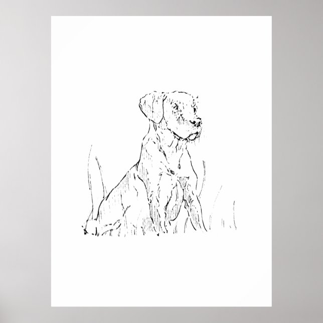 Póster de Arte de Pared de Golden Retriever, Ilust (Frente)