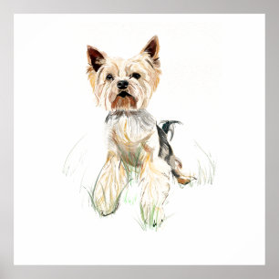 Póster de Arte de Pared de Yorkie, Pintura de Acua