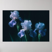 Póster de Arte de Pared Floral Iris Azul