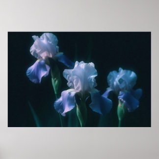 Póster de Arte de Pared Floral Iris Azul