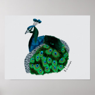 Póster de arte de pavo real elegante