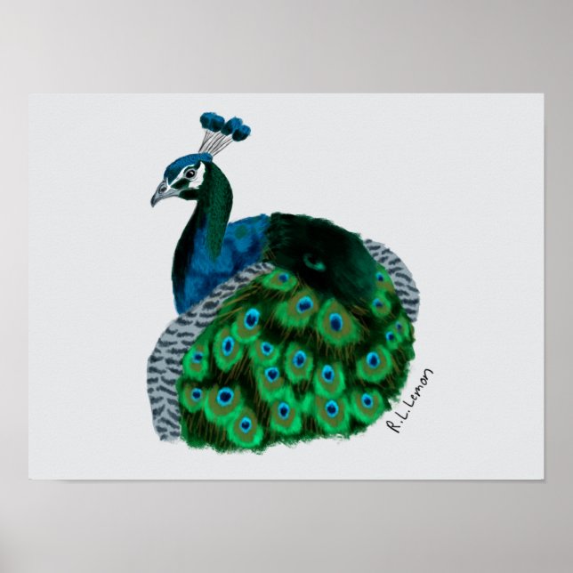 Póster de arte de pavo real elegante (Frente)
