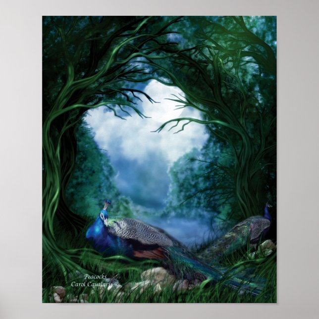 Poster de arte de pavos reales/impresión (Frente)