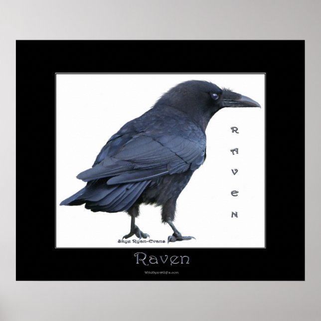 Poster de arte de RAVEN NEGRO (Frente)