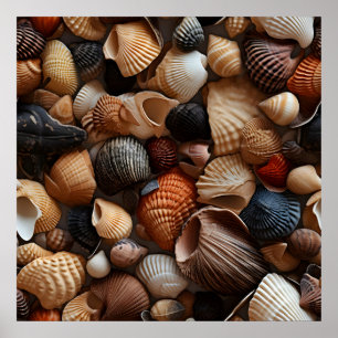 Poster de Arte de Seashells Seaside