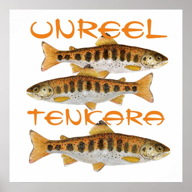 Poster de arte de Tenkara (Frente)