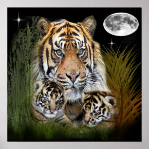 Poster de arte de Tiger