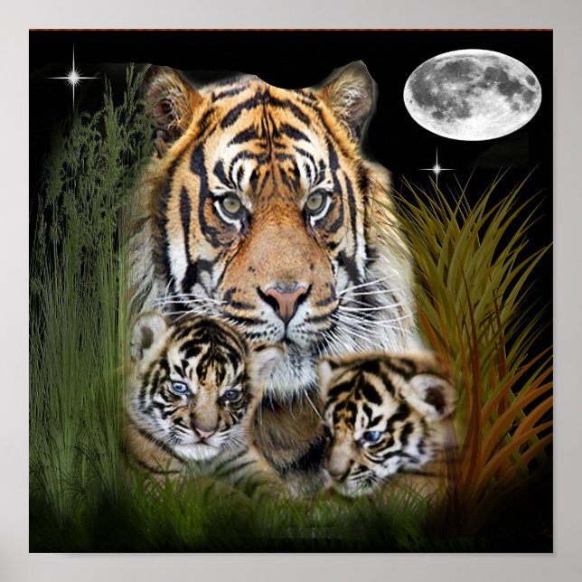 Póster de arte de tigre (Frente)
