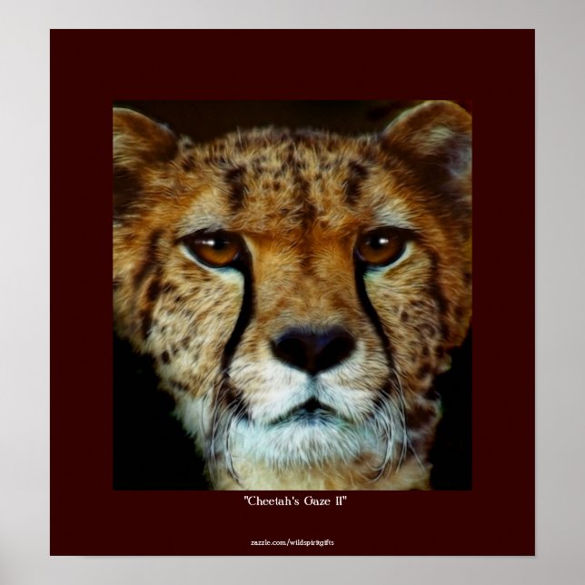 POSTER de Arte de Vida Silvestre de CHEETAH FACE (Frente)