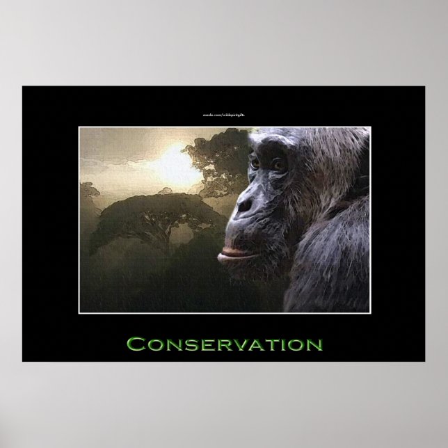 Poster de Arte de Vida Silvestre de Chimpanzee CON (Frente)