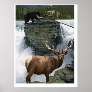 Poster de Arte de Vida Silvestre Elk & Black Bears