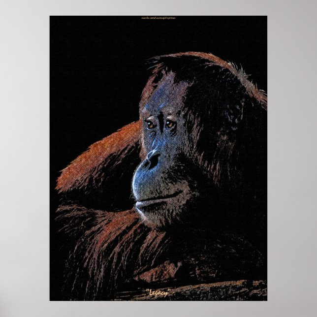Poster de arte de vida silvestre Orangutan Great A (Frente)