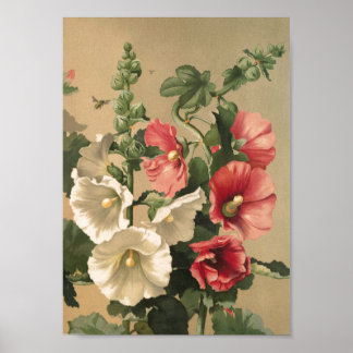 Poster de arte de Vintage Hollyhocks