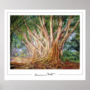 Póster de arte de Zedign de Marianne North #5