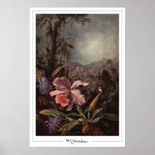 Póster de arte de Zedign de Martin Johnson Heade #