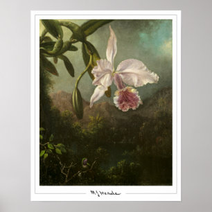 Póster de arte de Zedign de Martin Johnson Heade #