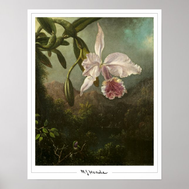 Póster de arte de Zedign de Martin Johnson Heade # (Frente)