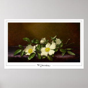 Póster de arte de Zedign de Martin Johnson Heade #
