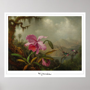 Póster de arte de Zedign de Martin Johnson Heade #