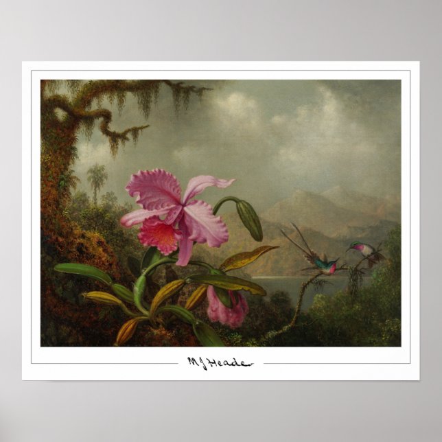 Póster de arte de Zedign de Martin Johnson Heade # (Frente)