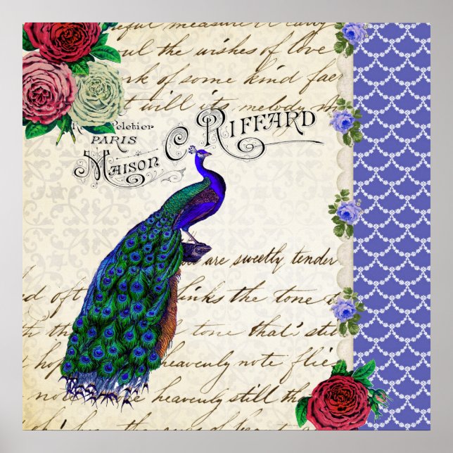 Poster de arte del Collage de Peacock Vintage (Frente)