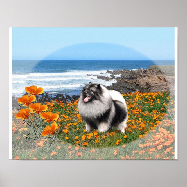Poster de arte del logo nacional de Keeshond (Frente)
