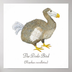 Poster de arte Dodo Bird