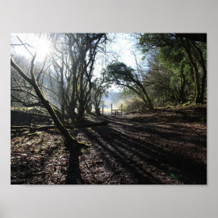 poster de arte en invierno