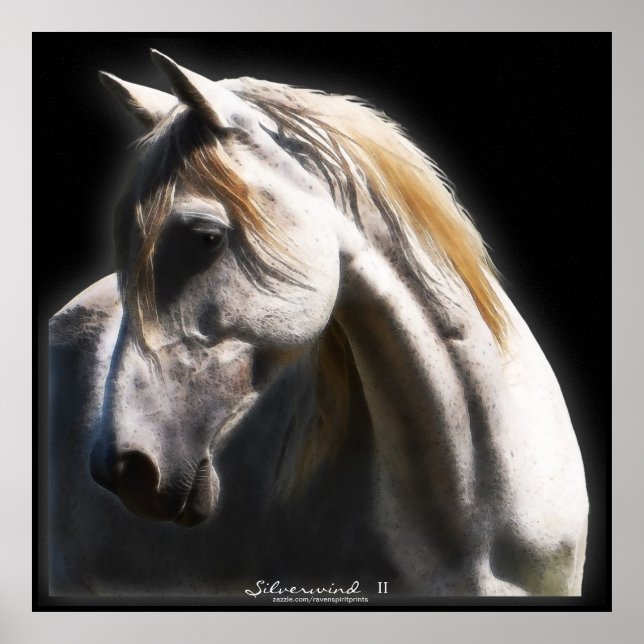 Poster de arte equino Stallion White Spirit (Frente)