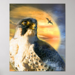 Poster de arte Falcon Sun/Imprimir