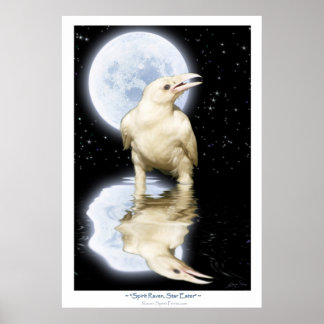 Poster de Arte Fantasía Rara WHITE RAVEN