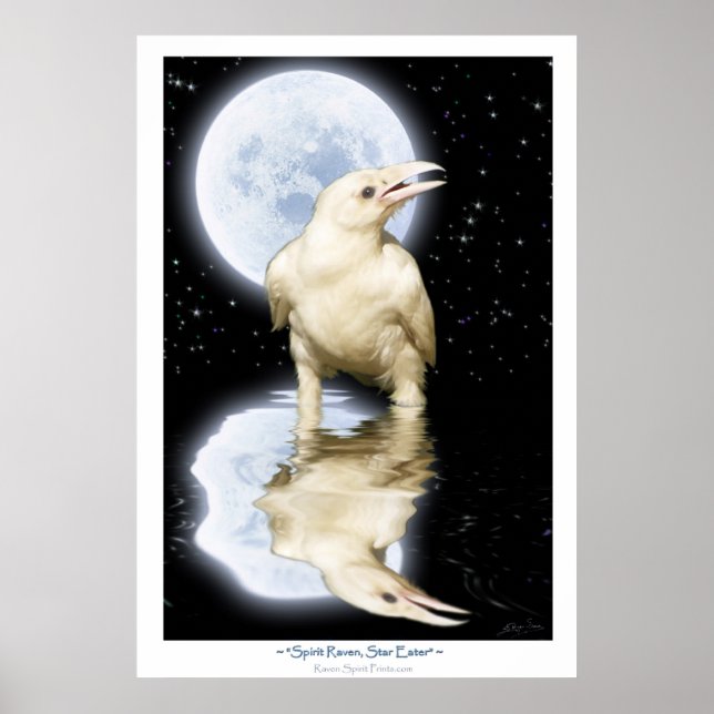 Poster de Arte Fantasía Rara WHITE RAVEN (Frente)