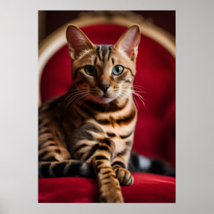 Póster de arte fino del retrato del gato Bengalí —