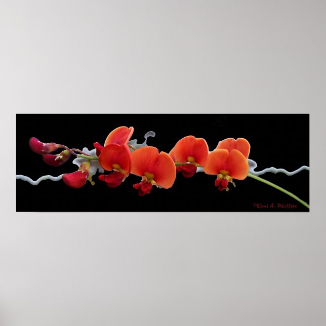 Poster de arte floral (Frente)