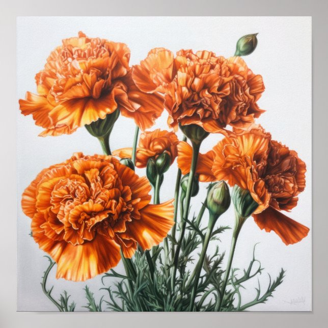 Póster de Arte Floral de Claveles Naranjas (Frente)