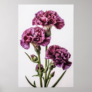 Póster de Arte Floral de Claveles Purpuras