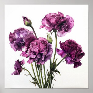 Póster de Arte Floral de Claveles Purpúreas