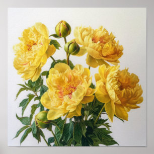 Póster de Arte Floral de Peonías Amarillas