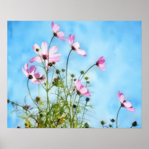 Póster de Arte Floral Flores Cosmos Rosas