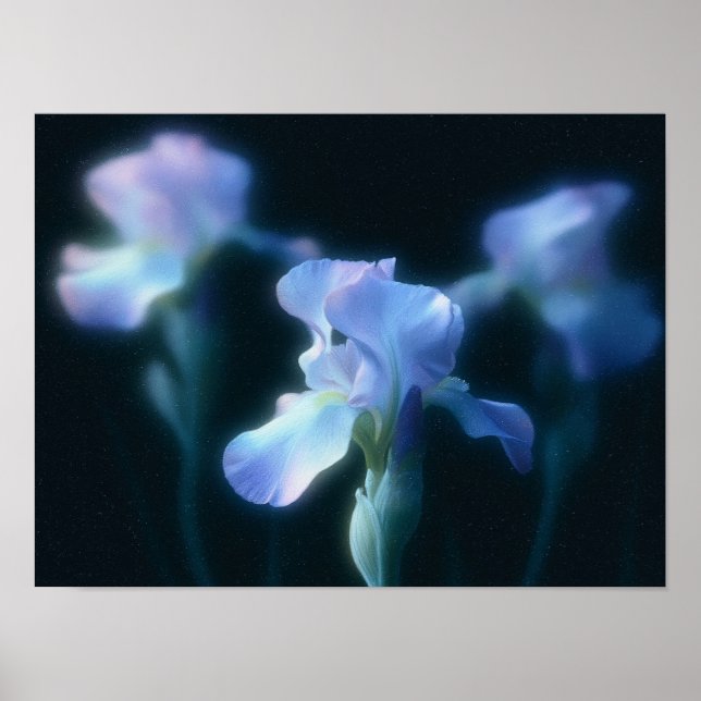 Póster de Arte Floral Iris Azul Soñador (Frente)