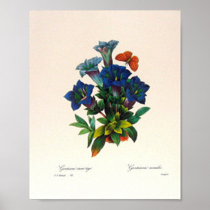 Poster de arte floral vintage