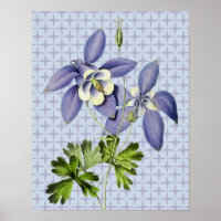 Poster de arte floral vintage retro de Columbine