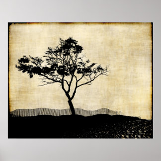 Poster de arte fotográfico de silueta de árbol