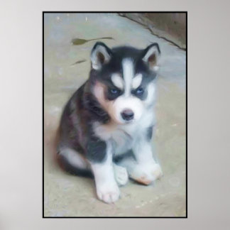 Poster de arte Husky Siberian