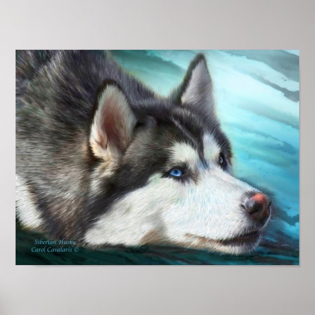 Poster de arte Husky Siberiano/Imprimir (Frente)